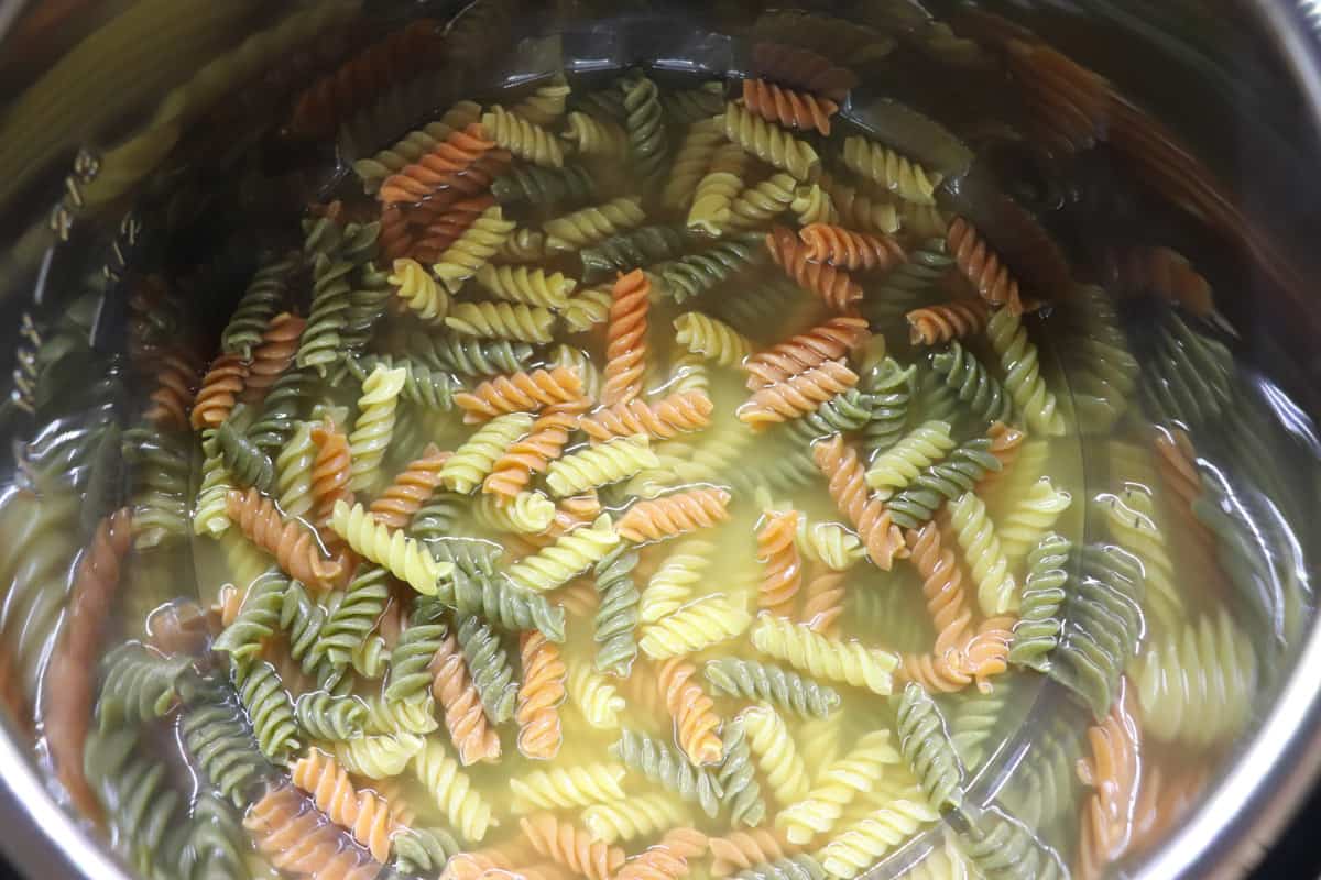 Rotini noodles and chicken broth in instant pot