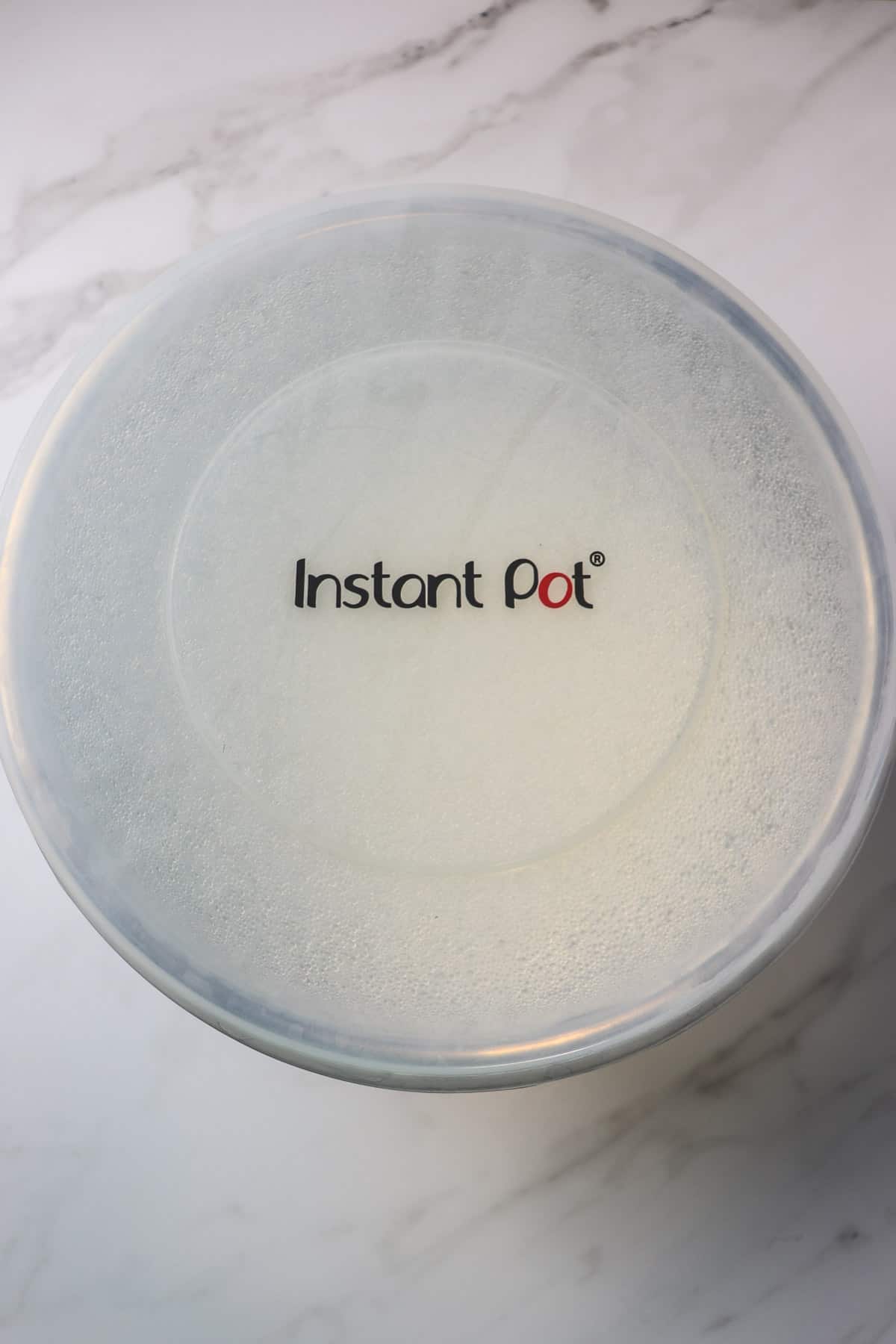 Instant Pot Cold Start Yogurt - Fat-Free and Sugar-Free! - Skinny Comfort