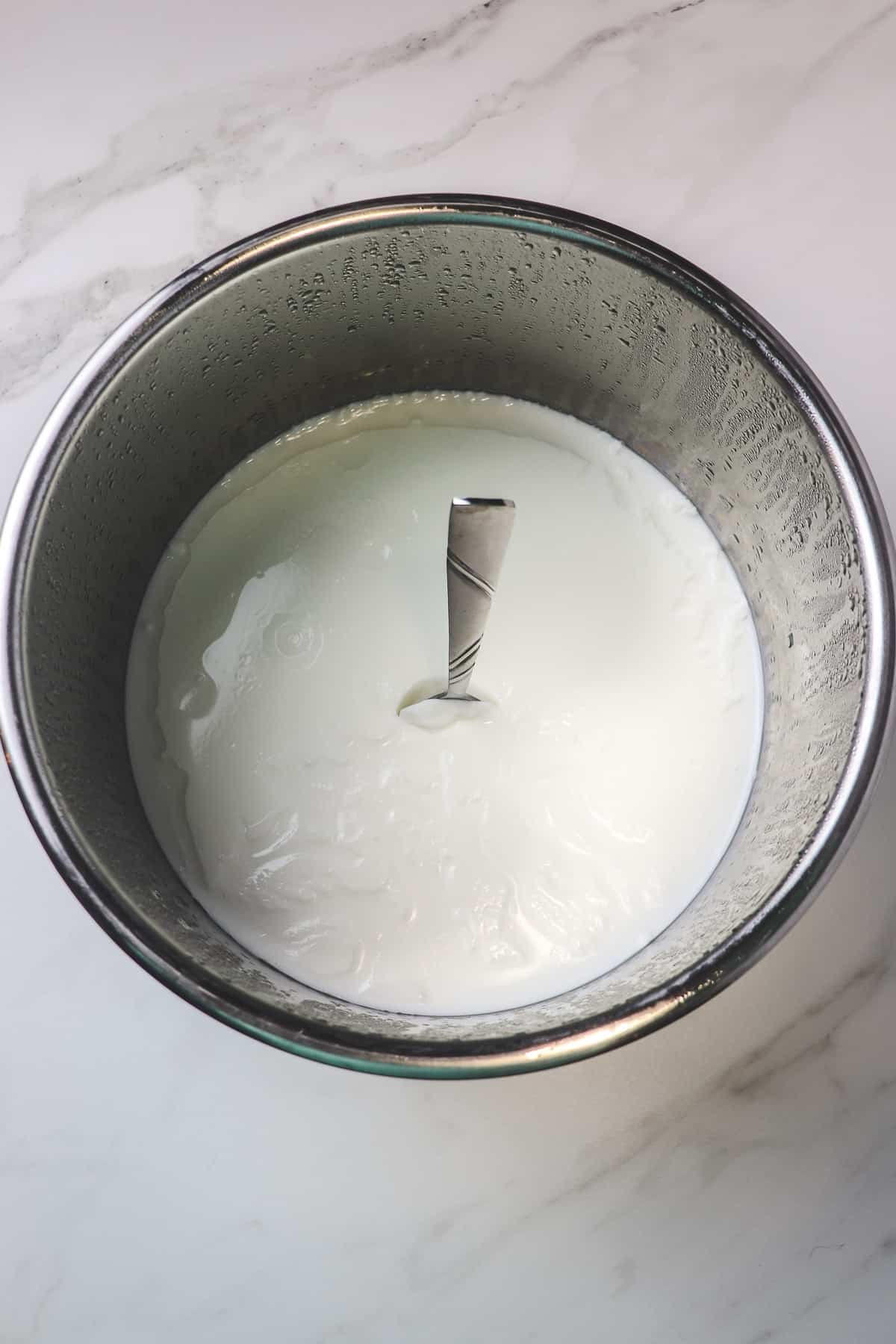 finished instant pot yogurt with spoon standing up in bowl