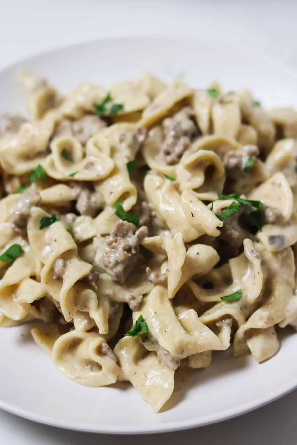 plate of instant pot ground beef stroganoff