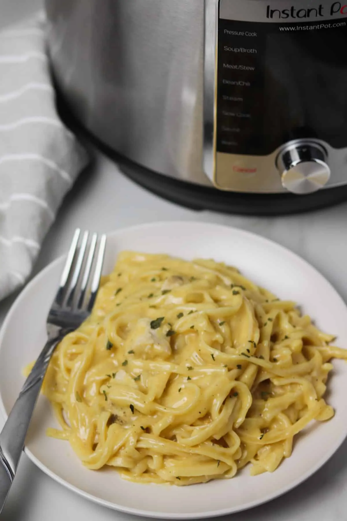 plate full of chicken spaghetti in front of the instant pot