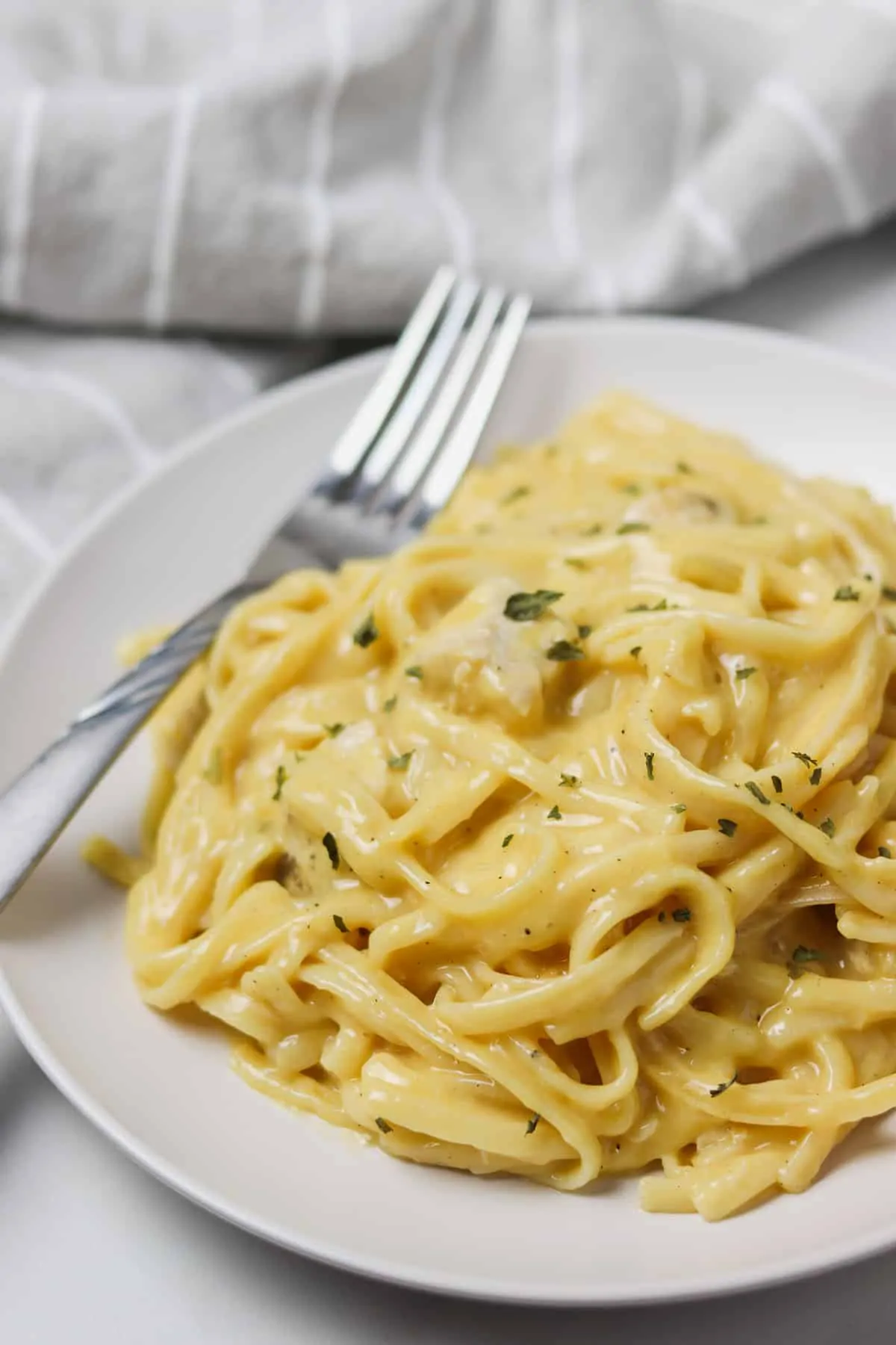 cheesy chicken spaghetti on a white plate with fork