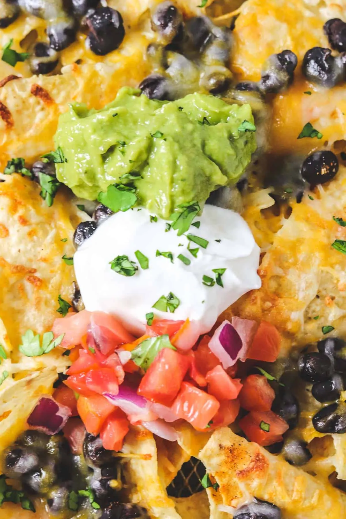 toppings on black bean nachos