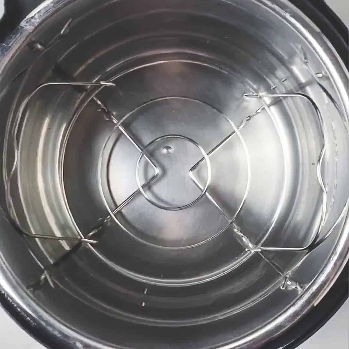 water and trivet in instant pot
