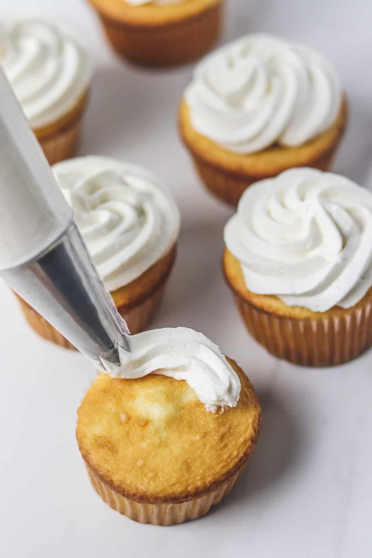piping white frosting on a vanilla cupcake