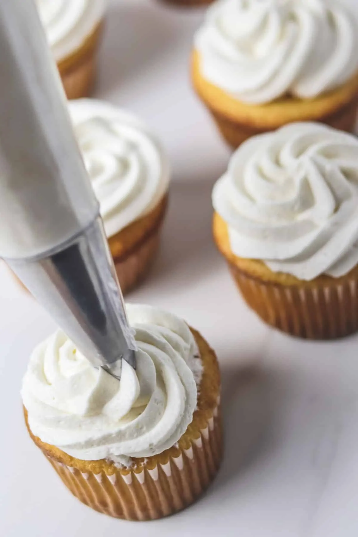 piping white frosting on a vanilla cupcake