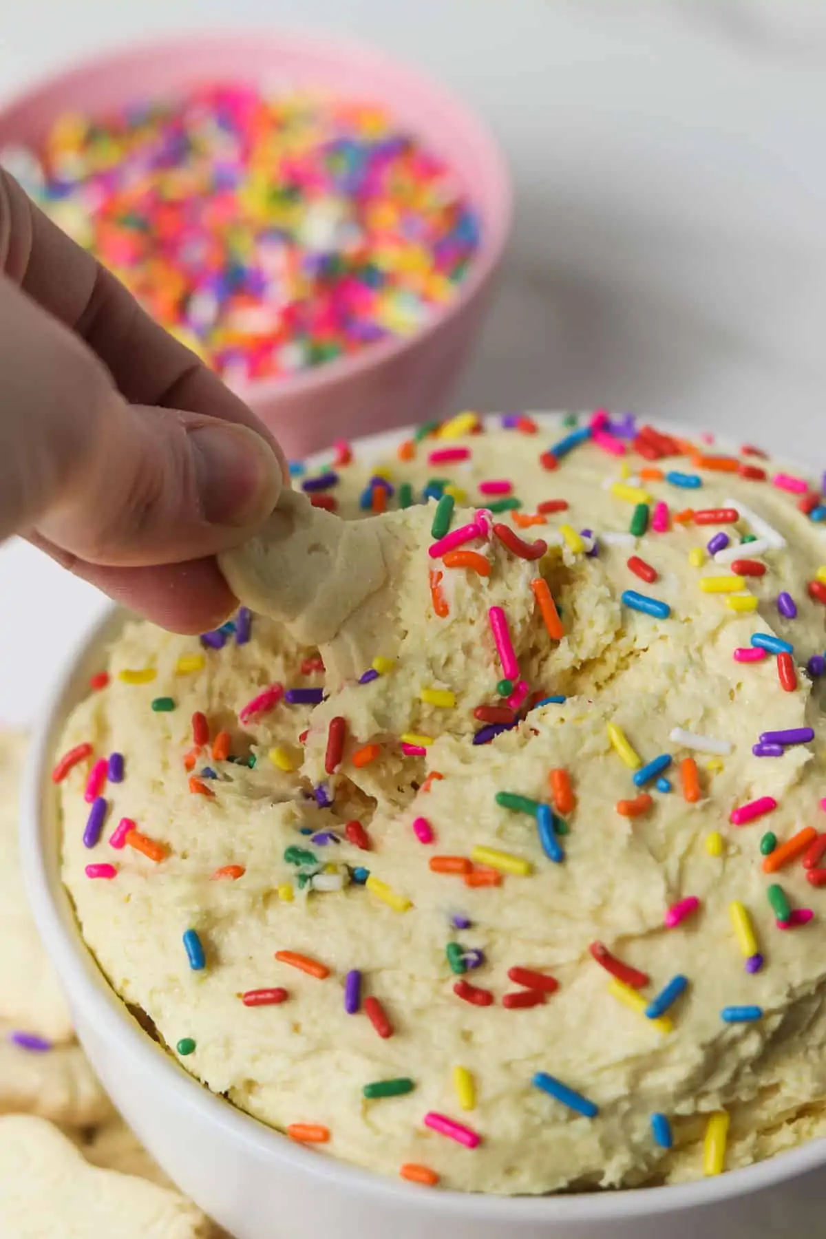 scooping a bite of dunkaroo dip on an animal cracker