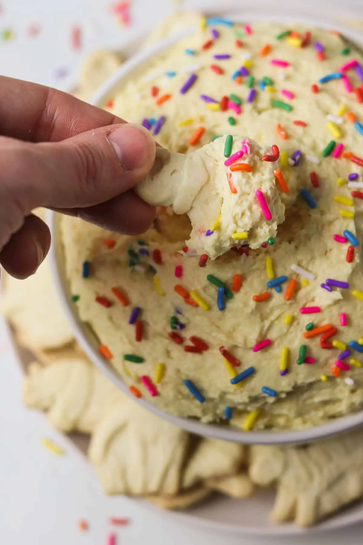 taking a bite of dunkaroo dip on an animal cracker