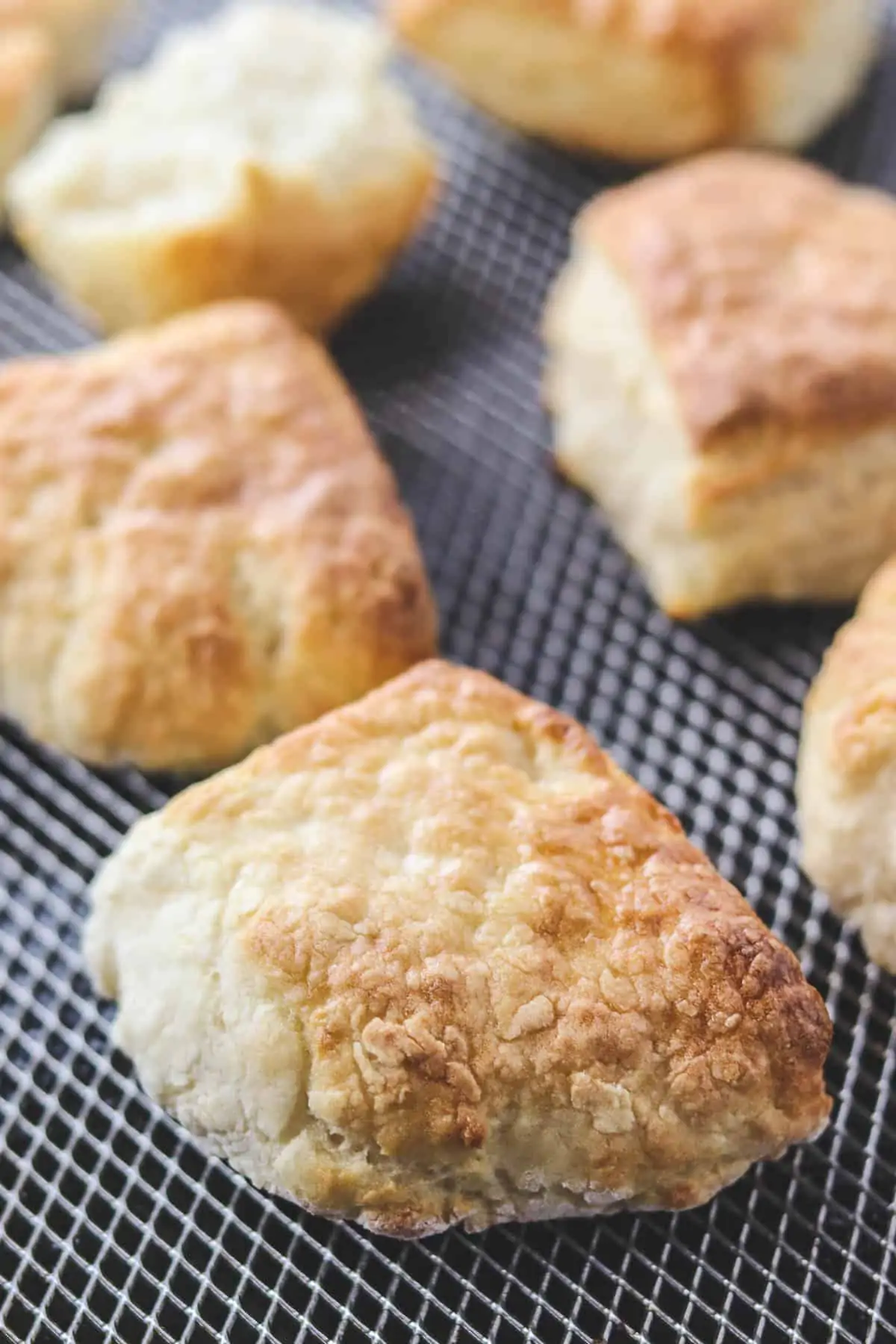 cooked biscuits in the air fryer basket